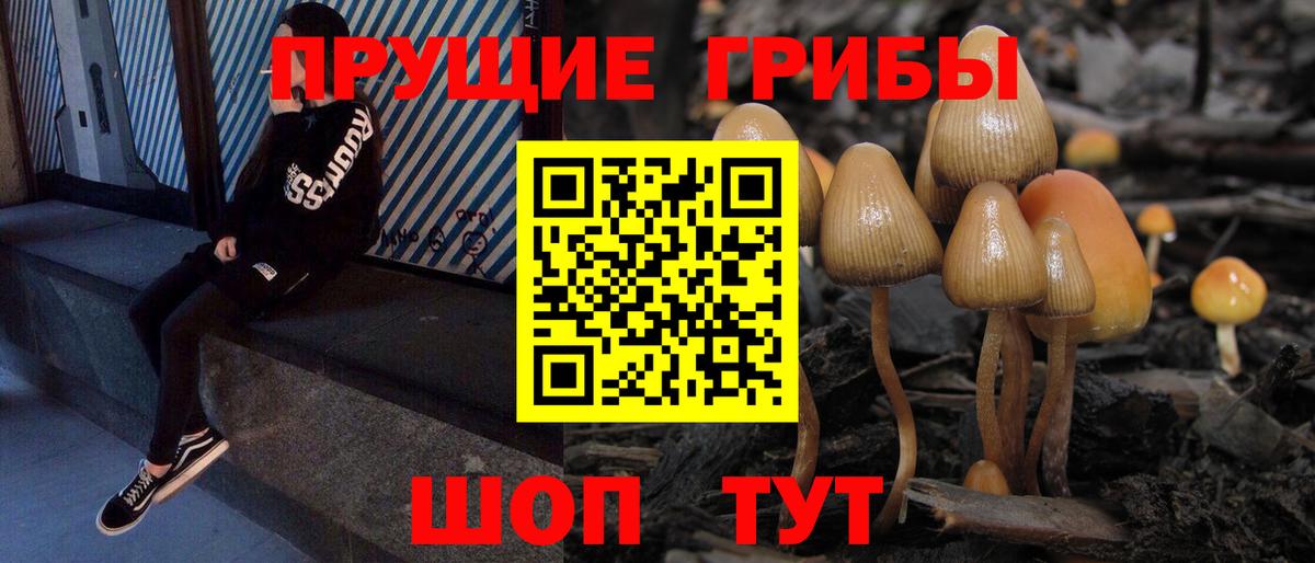 Галлюциногенные грибы мицелий Тимашёвск