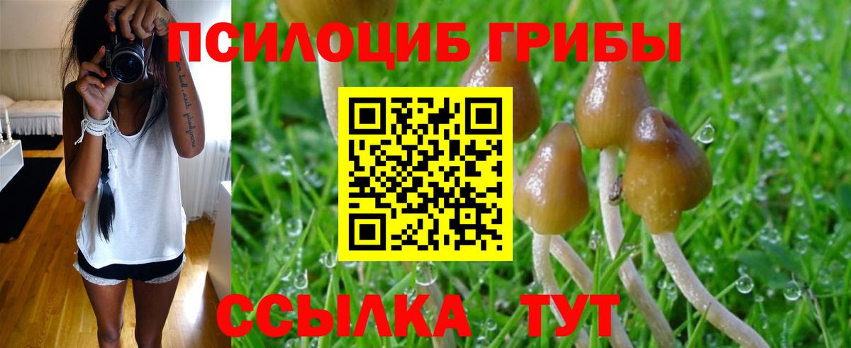Тимашёвск  Псилоцибиновые грибы Magic Shrooms  Вход с VPN  Псилоцибиновые грибы ЛСД 